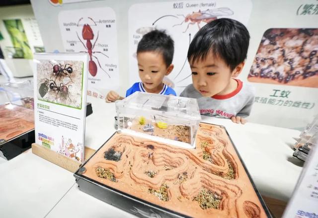 2026跨年必冲!逛玩购一条龙,东城五大商圈攻略→