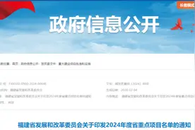 南安这些项目入选！2024年度省重点项目名单公布图片