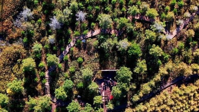 走进赤峰马鞍山林场 邂逅绚烂山林秋色