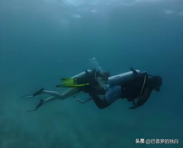 女子马尔代夫潜水被遗忘：后续视频曝光，教练翻脸，酒店拒不担责