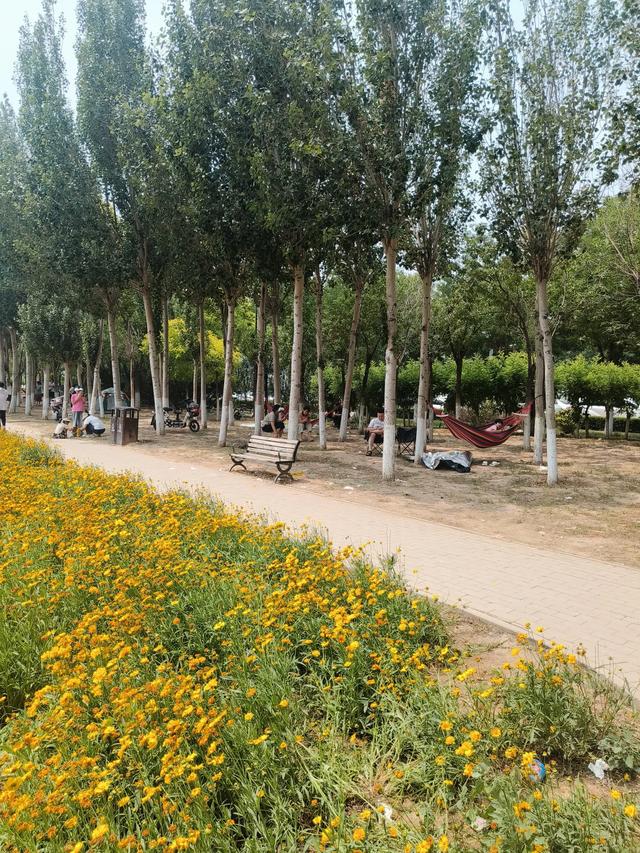 天津又一新建的公园~《山水花苑》