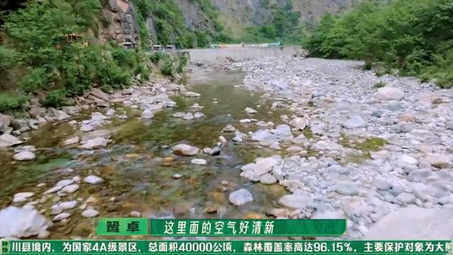 广元不远 周末优选 | 即将入伏，我选择唐家河做我的避暑解药！