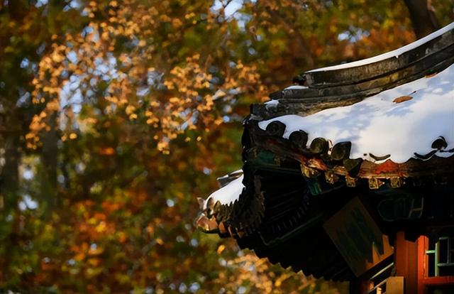 北京秋韵看地坛，网红打卡外有深意，老园子里的时光密码