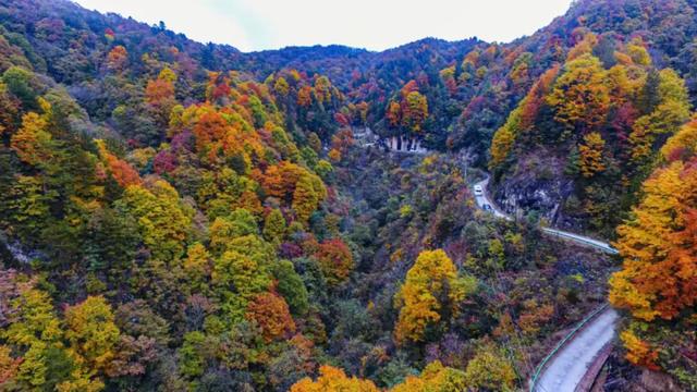 来洋县华阳！赴一场秋日之约~