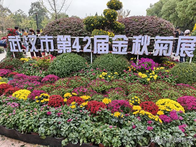 武汉十二月——一月一帧藏走过2025的四季光影