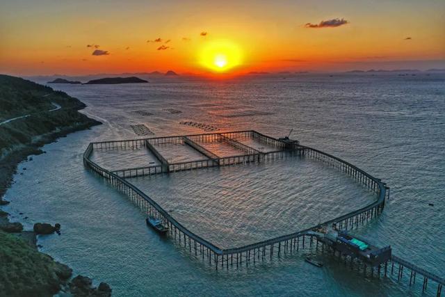 去海边吧！打卡浙江暑假最值得去的浪漫海岛