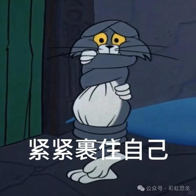 最低6°广州冷空气即将到货,留给你晒被子的时间不足三天啦