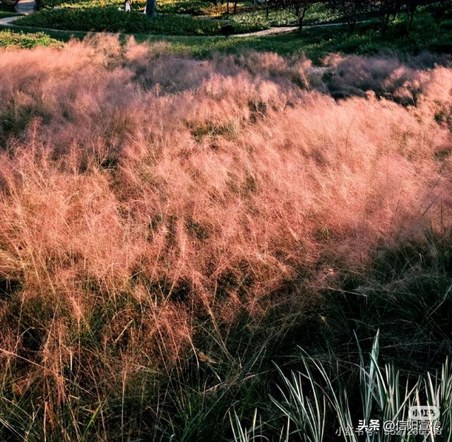 冬日信阳，独具魅力！