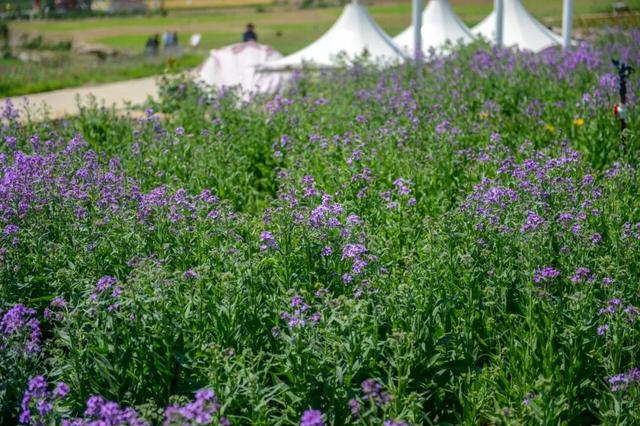 中医药、温泉、养生阿胶，济南的“康养密码”在这里！