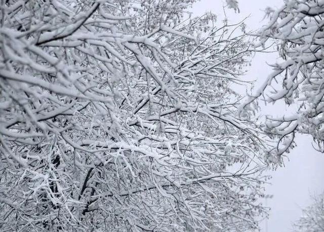 年味十足的山东宝藏小城，不仅是鲁菜重要发源地，还是“中国琉璃之乡”！