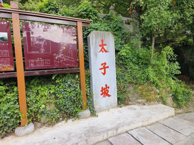 【视界】夏日炎炎，武当山景区热度不减！