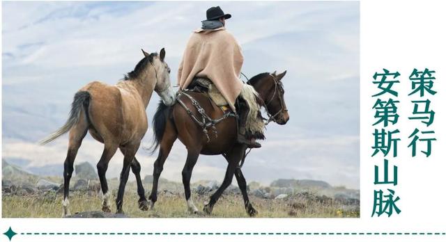 地理冷知识—2026全球最佳旅游地