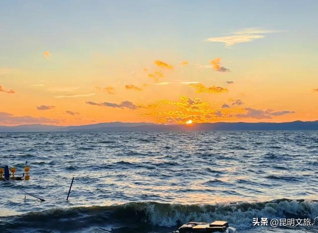 昆明人私藏观鸥地图+观杏！滴滴6折立减35元打车券直接薅