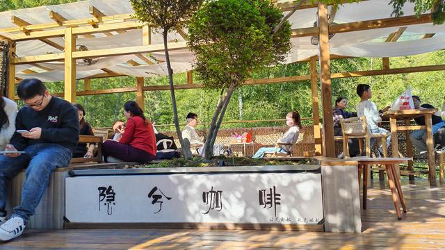 郁郁银杏无非般若，青青溪石尽是法身：宜春南惹古村印象（聂朋