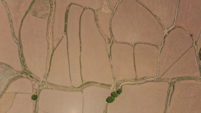 春满雪域！西藏七地市的春日盛景已如约而至