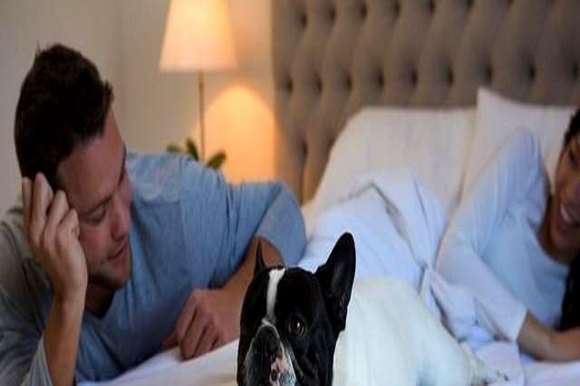 心理学家揭露：分房睡半年以上，80%的夫妻逃不过这两种结局