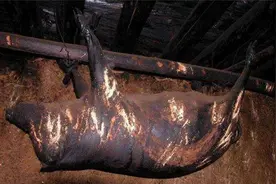 四川顶级美食“臭猪肉”，一头死猪悬挂房梁30年，居然也成了美味图片