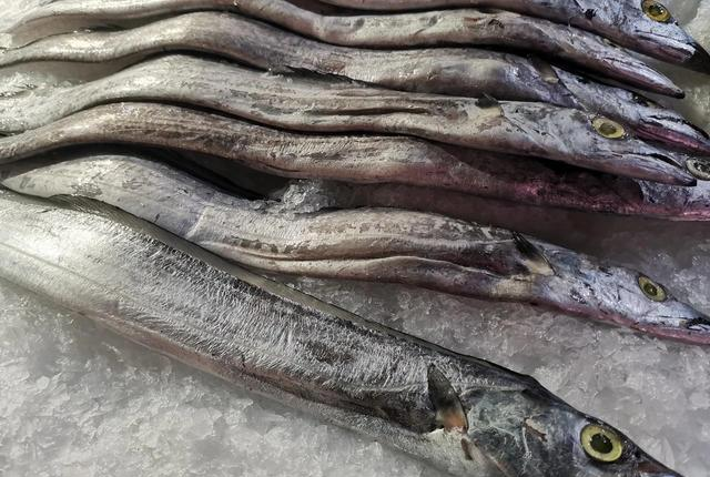 冬天，这4种鱼要少买，都自带“重金属”！鱼贩：我自己都不敢吃