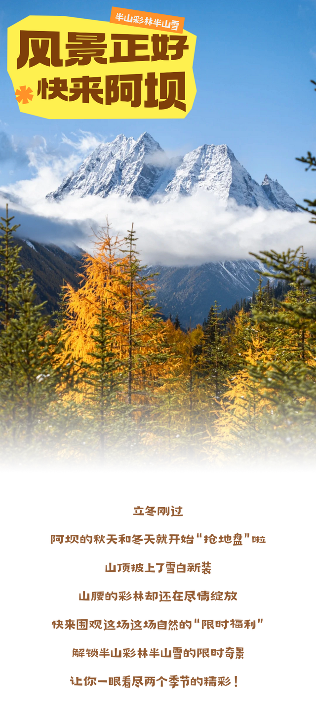 半山彩林半山雪！现在的阿坝美的我眼前一亮又一亮！