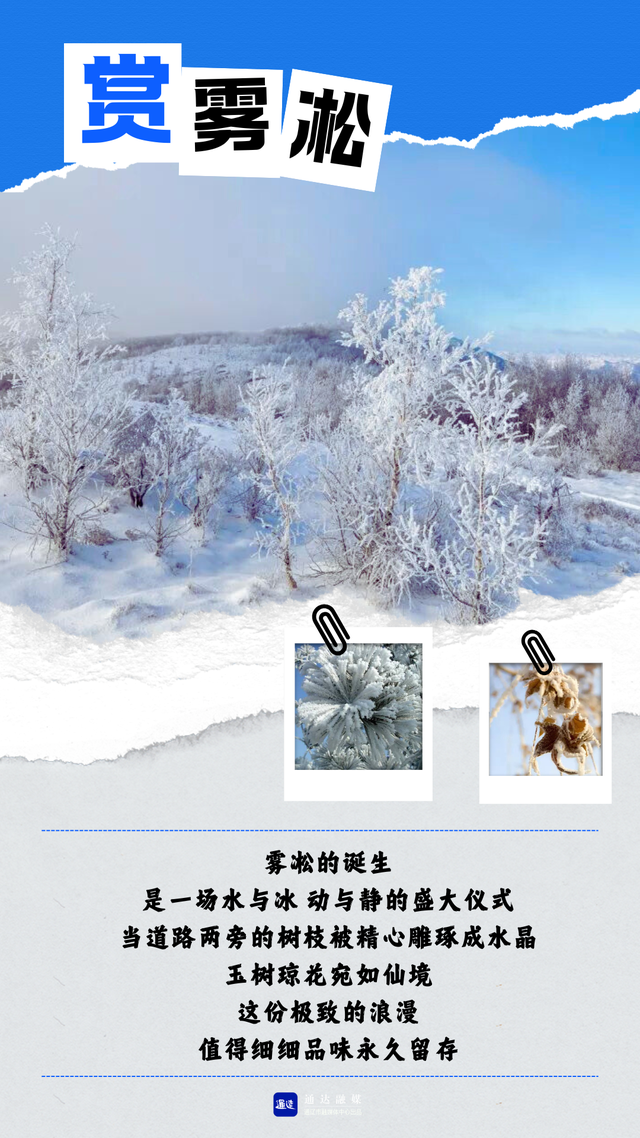 通辽冬日撒欢的N种方式