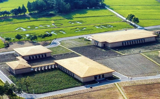 探秘新场景 | 我们试睡了西南首家都喜酒店，恨不得立马跳进泳池