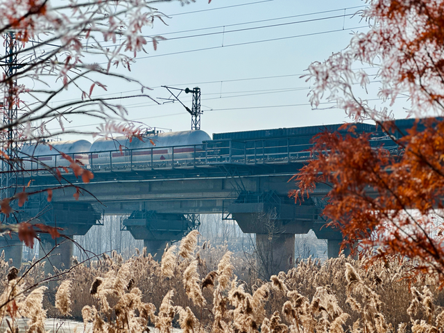 冬日里的多彩诗行