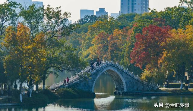 旅游荒漠？合肥如何建设长三角文旅中心城市？