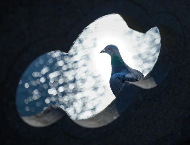 【多图预警！】这里不是5A景区，是鲁南制药！