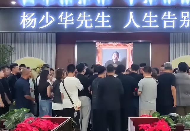 63岁杨议收美女徒弟，女生穿得花枝招展鞠躬敬茶，牵手贴脸引争议