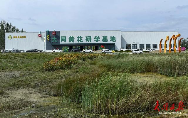 云州秋“妆”上线！从忘忧大道到黄花小镇，步步皆是“诗与远方”