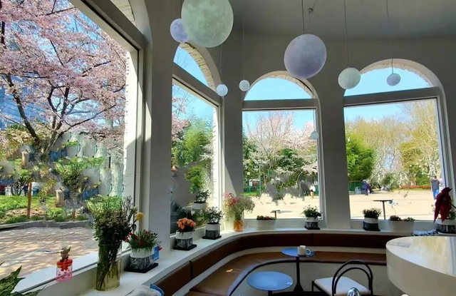 周末晒太阳，虹口有这些好去处