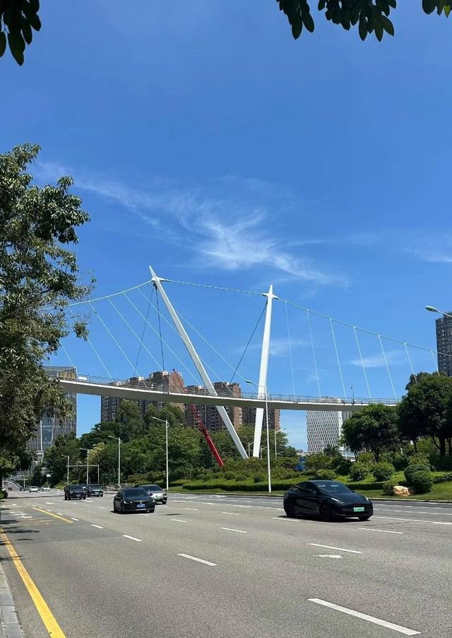 厦门山海健康步道云海线七座特色节点桥，形成一桥一景独特景观