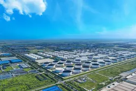 不负春光，“拼”出一个更好滨海图片