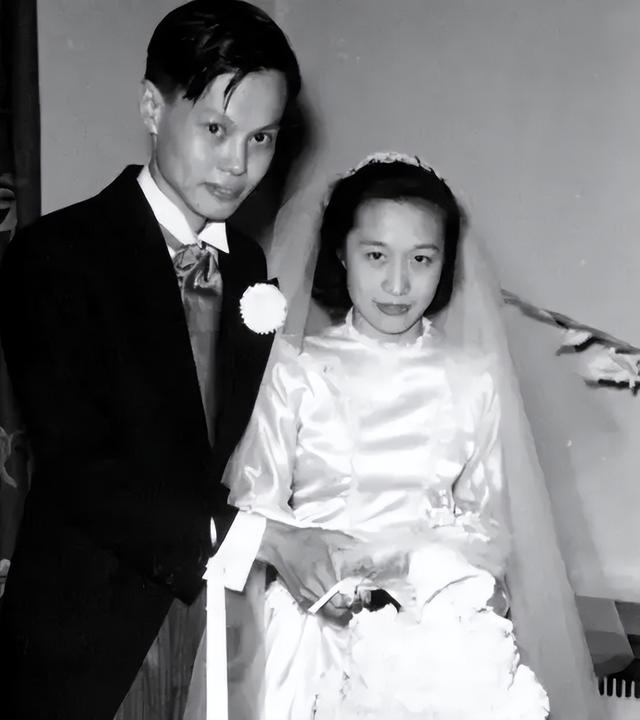 知情人曝杨振宁离世前状况，摔跤或是罪魁祸首，翁帆疑似早有察觉