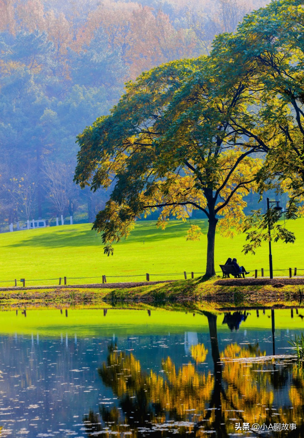 又一5A景区官宣永久免费！年入数亿，关键是秋天美到词穷！