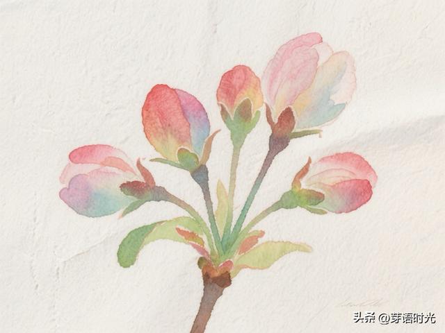 男孩最大的幸福是童年时被允许做这5件事