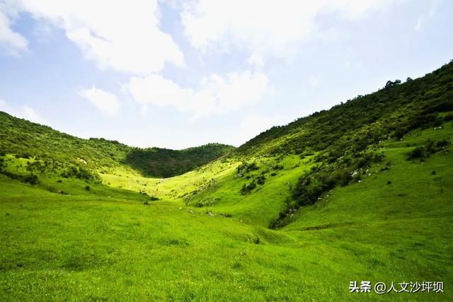 气温“狂飙”？！来21℃的重庆“北极”纳凉