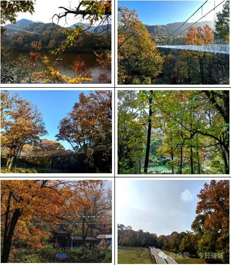 记者们快看——金顶山免门票专属权益！