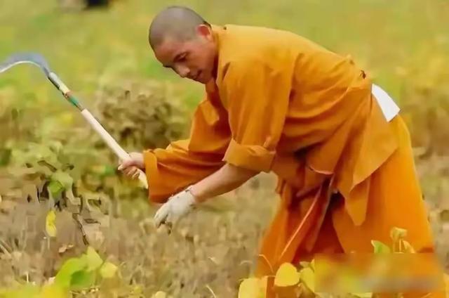 少林寺“大逃亡”!30多名和尚连夜出走,新方丈三把火烧出大动静