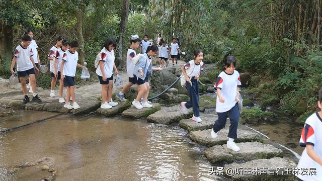 北流容心谷“探索自然之美，传诵诗韵风雅”主题研学活动广受好评