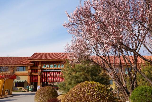 丰台二日漫游指南 | 从园博雅境到南宫汤泉，解锁双重自然疗愈