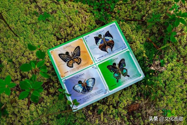 不允许还有人不知道！春天这样收藏微缩版西藏墨脱，太绝了！