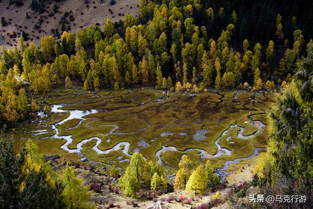 川西新通车的金川县至小金县的金小路即将成为下一条网红路