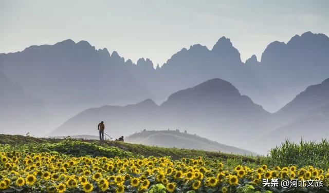 “磕”学来了！你觉得哪些保定景点最具CP感？