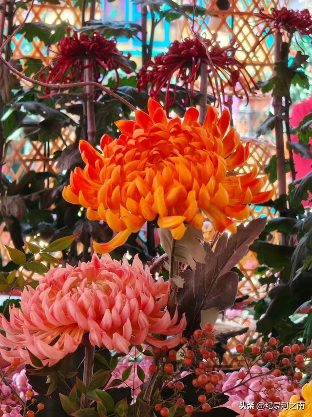 开封旅游：从网红爆款到长红经典的蜕变之路