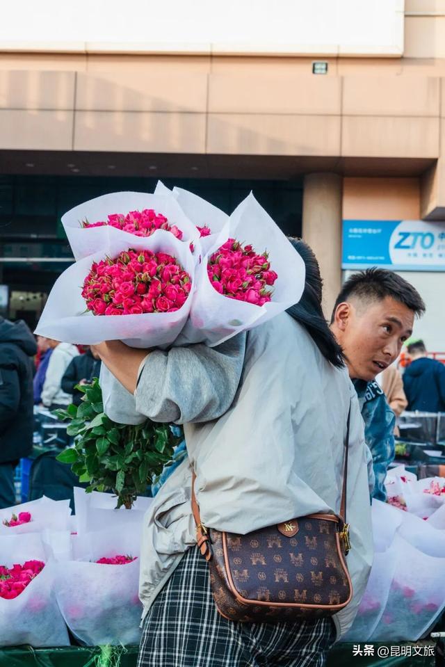 满屏治愈！这个冬日，你一定要去趟斗南花市，邂逅一场流动的彩色盛宴~