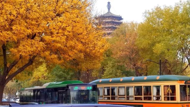 这个季节总要去趟正定，去邂逅那迷人的古建红和金秋黄！