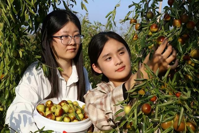 “‘枣’想遇见你”滨州“枣”味采摘路线 | 沾化冬枣、苹果、葡萄……来滨州，为你的假期“加buff”
