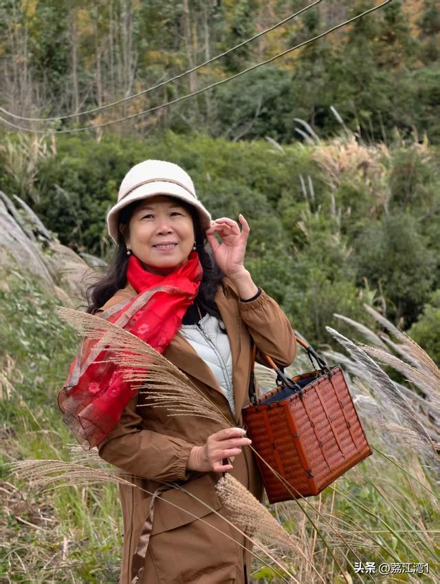 游长岗岭古村，观飘黄银杏