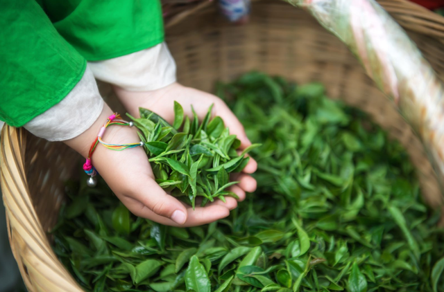 全球榜！中国榜！日照入选三大榜单！2026必来打卡！